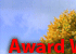 Award Winning Software